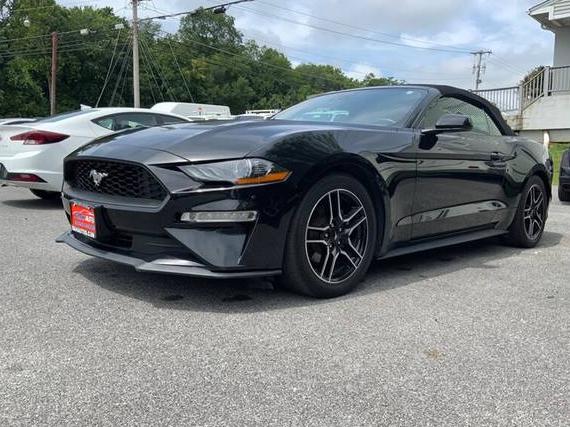 FORD MUSTANG 2021 1FATP8UHXM5116392 image
