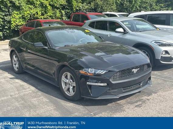 FORD MUSTANG 2021 1FA6P8TH0M5105268 image