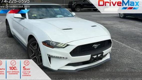 FORD MUSTANG 2021 1FA6P8TH6M5100690 image