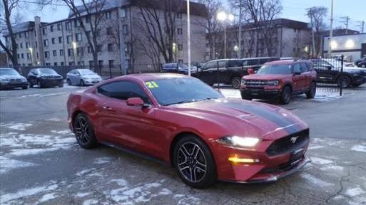 FORD MUSTANG 2021 1FA6P8TH5M5110207 image