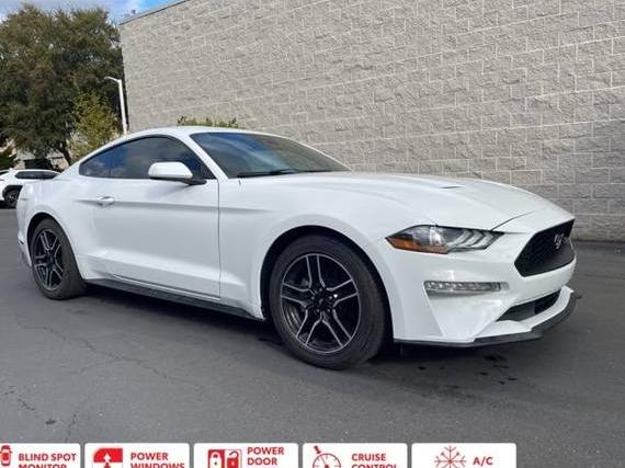 FORD MUSTANG 2021 1FA6P8TH8M5149244 image FORD MUSTANG 2021 1FA6P8TH8M5149244 image
