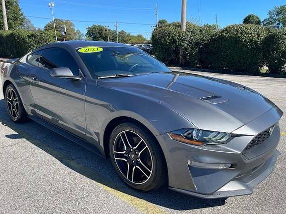 FORD MUSTANG 2021 1FA6P8TH3M5102655 image FORD MUSTANG 2021 1FA6P8TH3M5102655 image