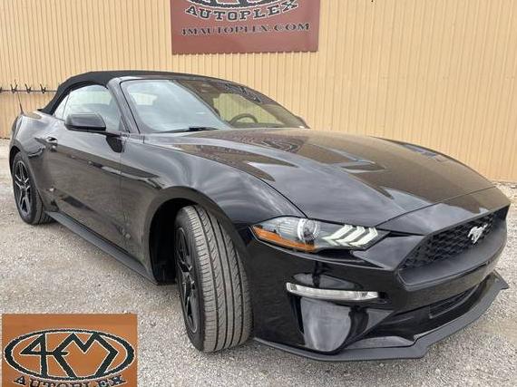 FORD MUSTANG 2021 1FATP8UH8M5125429 image