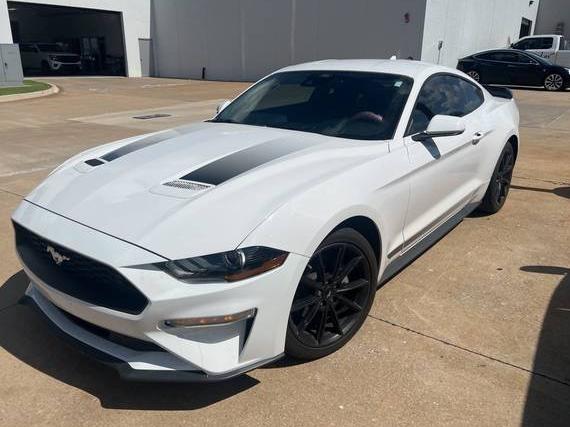 FORD MUSTANG 2021 1FA6P8TH1M5118742 image