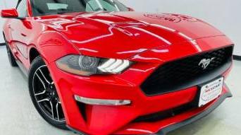 FORD MUSTANG 2021 1FATP8UH0M5101285 image