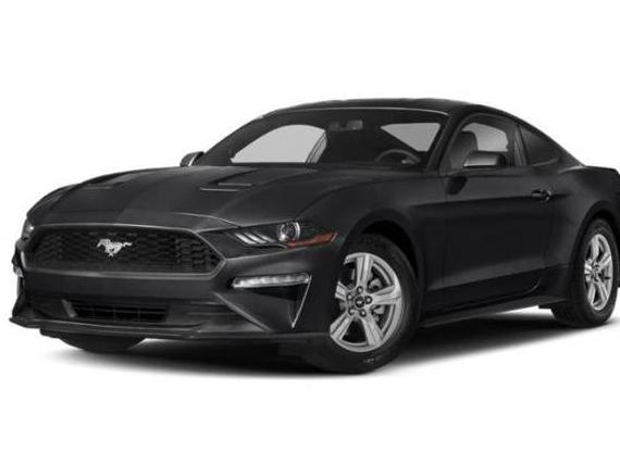 FORD MUSTANG 2021 1FA6P8TH4M5148155 image