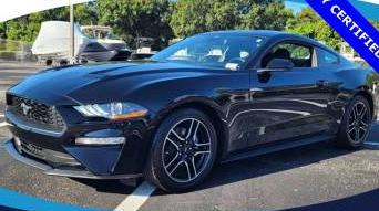 FORD MUSTANG 2021 1FA6P8TH4M5158247 image