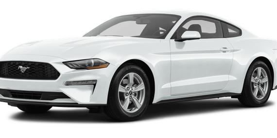 FORD MUSTANG 2021 1FA6P8TH7M5118440 image