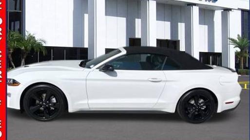 FORD MUSTANG 2021 1FATP8UH8M5156213 image