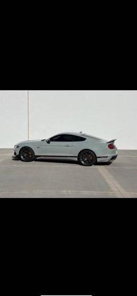 FORD MUSTANG 2021 1FA6P8R00M5551504 image