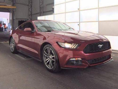 FORD MUSTANG 2017 1FA6P8TH3H5278899 image