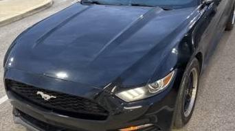 FORD MUSTANG 2017 1FA6P8AM9H5226693 image