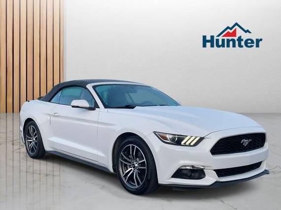 FORD MUSTANG 2017 1FATP8UH0H5320365 image