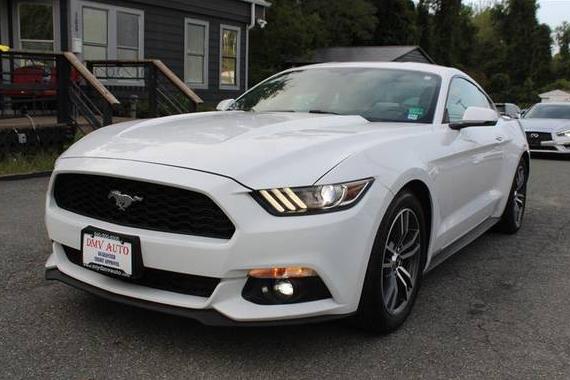 FORD MUSTANG 2017 1FA6P8TH3H5320391 image