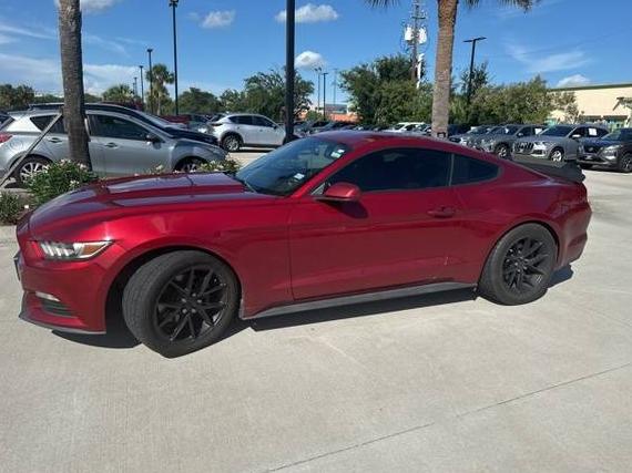 FORD MUSTANG 2017 1FA6P8AM0H5344082 image