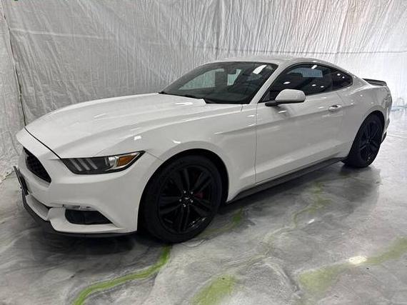 FORD MUSTANG 2017 1FA6P8TH1H5214053 image