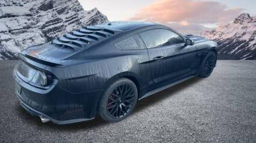 FORD MUSTANG 2017 1FA6P8CF3H5240684 image