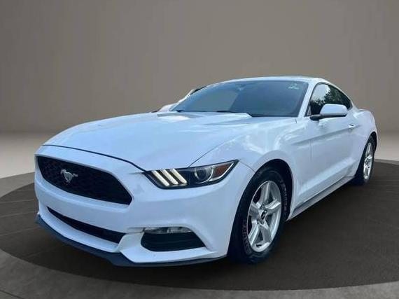 FORD MUSTANG 2017 1FA6P8AM7H5330812 image