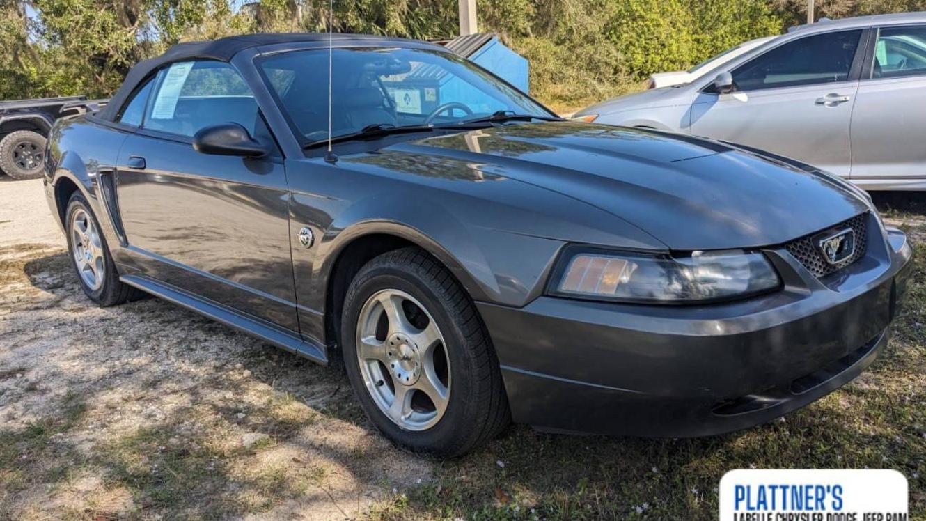 FORD MUSTANG 2004 1FAFP44634F156473 image