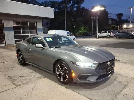 FORD MUSTANG 2024 1FA6P8TH0R5106153 image