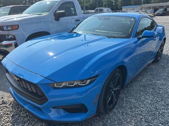 FORD MUSTANG 2024 1FA6P8TH5R5100557 image