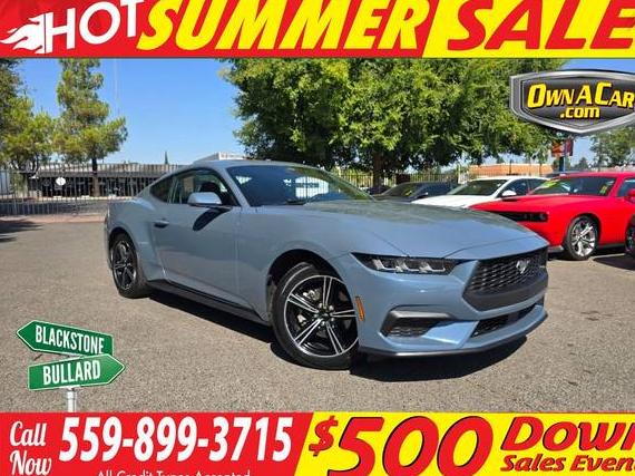 FORD MUSTANG 2024 1FA6P8TH4R5146137 image