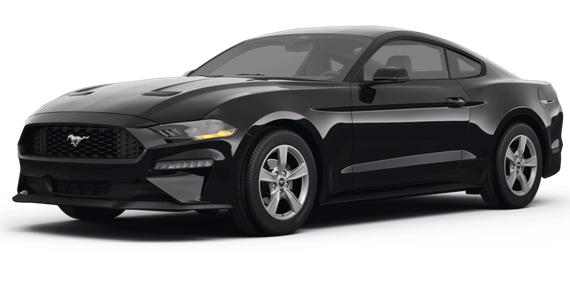 FORD MUSTANG 2024 1FA6P8TH4R5100534 image FORD MUSTANG 2024 1FA6P8TH4R5100534 image