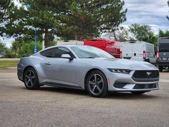 FORD MUSTANG 2024 1FA6P8TH8R5143273 image