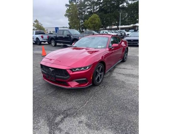 FORD MUSTANG 2024 1FA6P8TH8R5111150 image