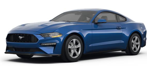 FORD MUSTANG 2024 1FA6P8TH8R5125985 image
