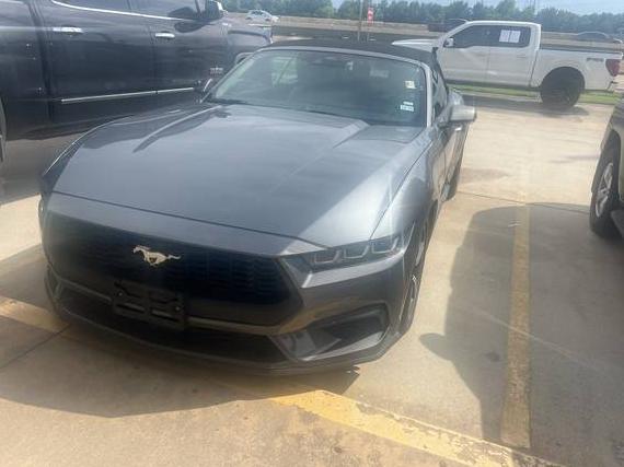 FORD MUSTANG 2024 1FAGP8UH5R5120228 image