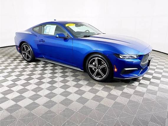 FORD MUSTANG 2024 1FA6P8THXR5108122 image