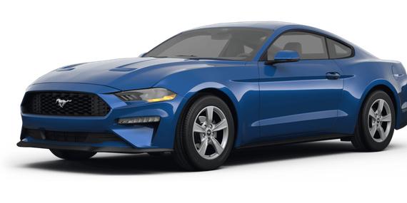 FORD MUSTANG 2024 1FA6P8TH5R5110649 image