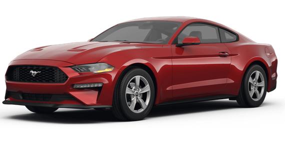 FORD MUSTANG 2024 1FA6P8TH5R5126575 image