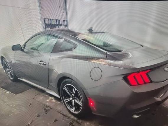 FORD MUSTANG 2024 1FA6P8TH4R5107693 image