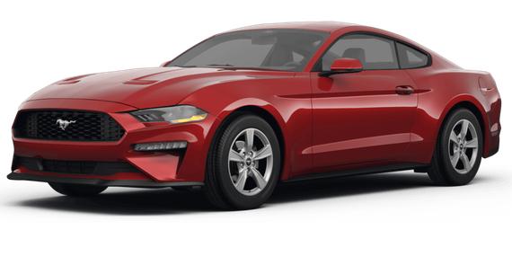 FORD MUSTANG 2024 1FA6P8TH7R5134208 image