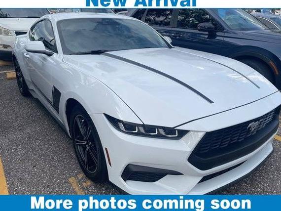 FORD MUSTANG 2024 1FA6P8TH8R5106384 image