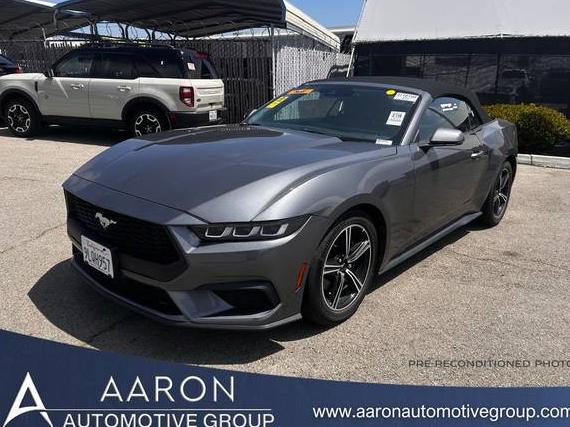 FORD MUSTANG 2024 1FAGP8UH4R5133830 image