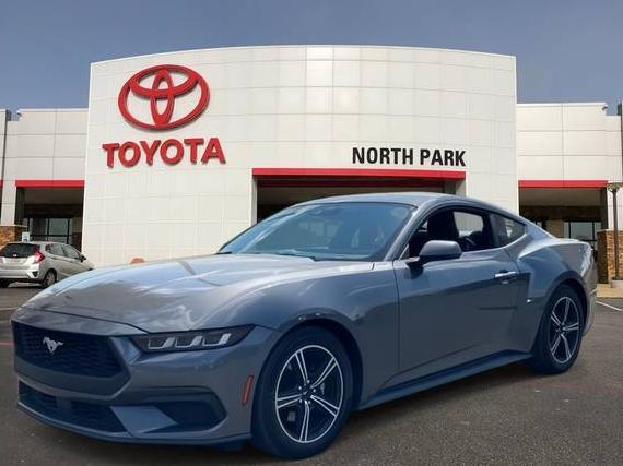 FORD MUSTANG 2024 1FA6P8TH0R5131294 image