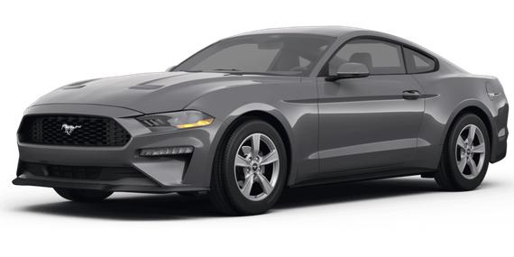 FORD MUSTANG 2024 1FA6P8TH0R5112955 image