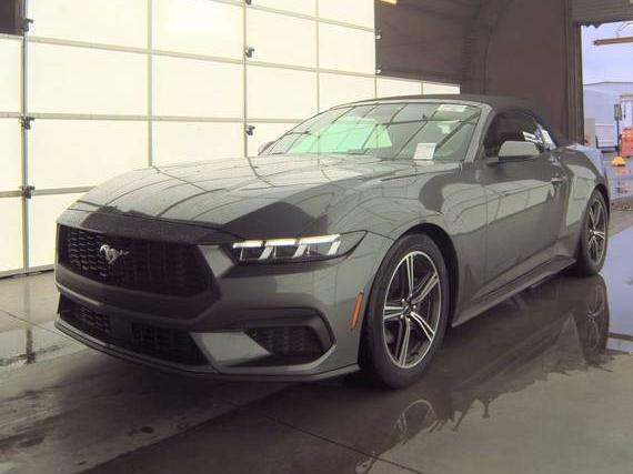 FORD MUSTANG 2024 1FAGP8UH3R5132930 image