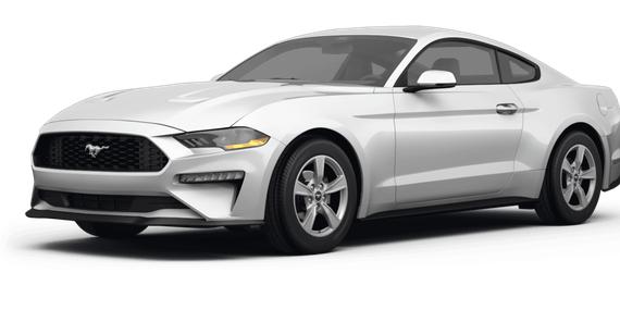FORD MUSTANG 2024 1FA6P8TH7R5107526 image