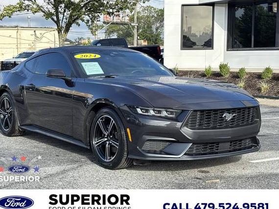 FORD MUSTANG 2024 1FA6P8TH5R5100705 image