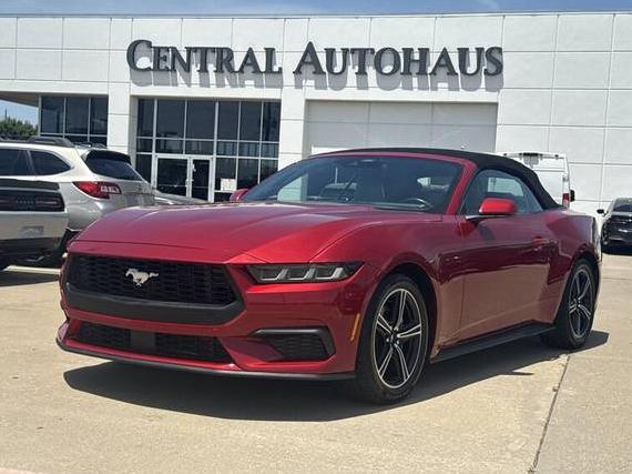 FORD MUSTANG 2024 1FAGP8UH3R5120115 image