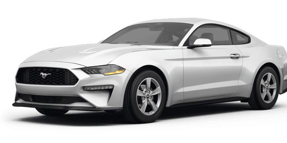 FORD MUSTANG 2024 1FA6P8TH3R5141320 image