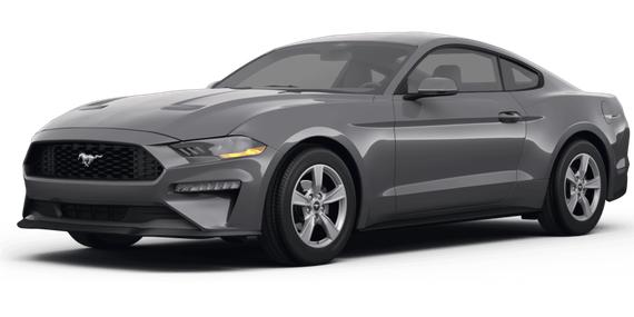 FORD MUSTANG 2024 1FA6P8TH6R5134099 image FORD MUSTANG 2024 1FA6P8TH6R5134099 image