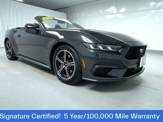 FORD MUSTANG 2024 1FAGP8UH4R5106062 image