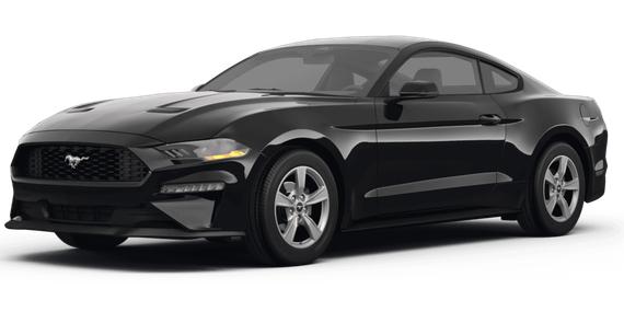 FORD MUSTANG 2024 1FA6P8TH2R5107806 image FORD MUSTANG 2024 1FA6P8TH2R5107806 image