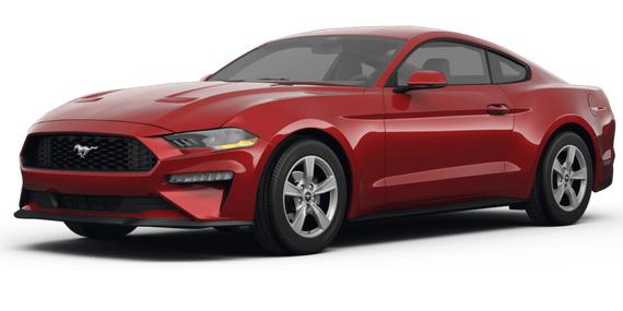 FORD MUSTANG 2024 1FA6P8TH8R5131026 image