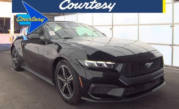 FORD MUSTANG 2024 1FA6P8TH0R5143154 image